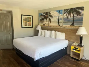 Days Inn by Wyndham St. Petersburg Central - Chambre