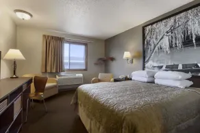 Super 8 by Wyndham Sioux Falls/41st Street - Chambre