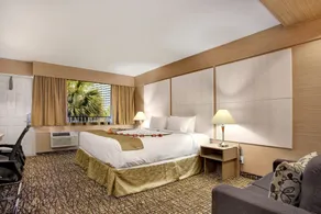 Ocean Beach Palace - Vue de la chambre