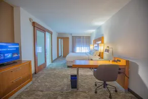 SpringHill Suites by Marriott Baton Rouge Gonzales - Chambre