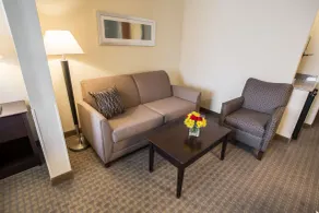 Comfort Suites University Area Notre Dame-South Bend - Camera