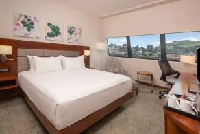 Hilton Garden Inn Mbabane - Vistas desde la habitación