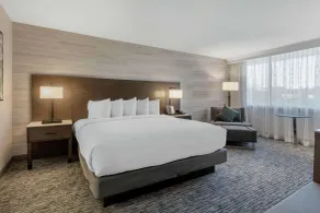 DoubleTree by Hilton Birmingham Perimeter Park - Room