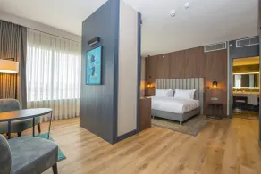 Crowne Plaza Ankara by IHG - Vue de la chambre