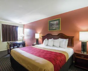 Econo Lodge Charlottesville North - University Area - Chambre
