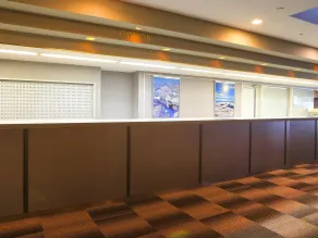 Ryuo Mountain Hotel - Receção