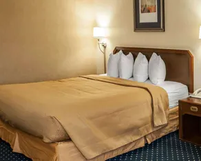 Quality Inn & Suites Goshen - Chambre