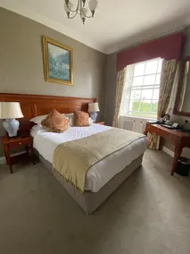 Leixlip Manor Hotel - View from room