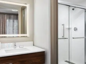 Hampton Inn & Suites New Orleans Canal St. French Quarter - Salle de bain