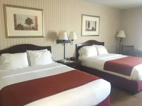 Mountain Inn & Suites - Rom