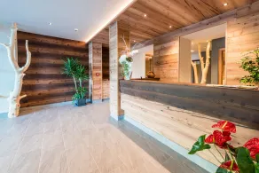 Hotel Fontanella - Réception