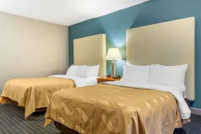 Quality Inn & Suites Apex - Holly Springs - Chambre