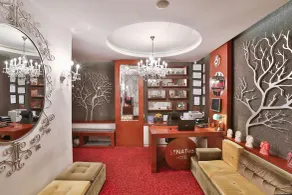 Senatus Hotel - Special Class - Reception