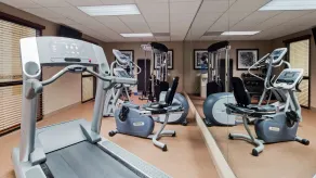 Best Western Delta Inn - Salle de remise en forme