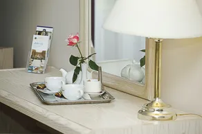 Airport Hotel Mara - Habitación