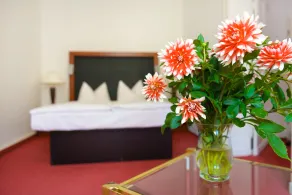 Altstadthotel Am Theater - Chambre