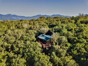 Teniqua Treetops - Quarto