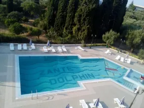 Ζante Dolphin - Basseng