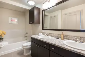 PDC Luxury Apartment Tysons Corner - Baño