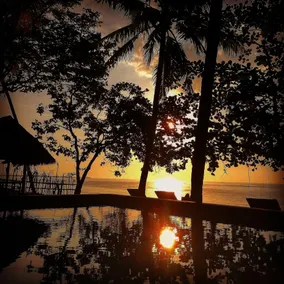 Rinjani Beach Eco Resort - Pool