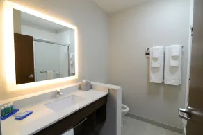 Holiday Inn Express & Suites Chicago North Shore - Niles by IHG - Bathroom