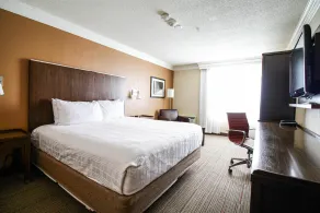 Waterloo Suites Hotel, Trademark Collection by Wyndham - Chambre