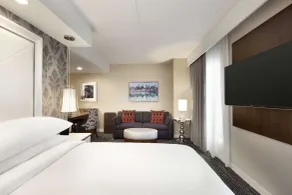 Embassy Suites by Hilton Atlanta NE Gwinnett Sugarloaf - Chambre