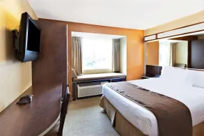 Microtel Inn & Suites by Wyndham Woodstock/Atlanta North - Chambre