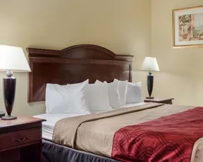 Econo Lodge Greenville - Chambre