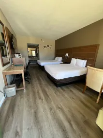 Quality Inn & Suites near Six Flags - Austell - Chambre