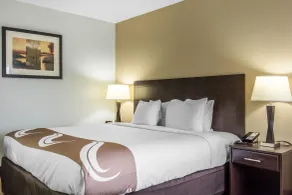 Quality Inn Downtown Historic District - Chambre