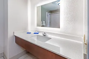 Holiday Inn Express & Suites Lafayette South by IHG - Salle de bain