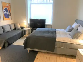 Small Cozy Apartment in Frederiksberg - Sala de estar