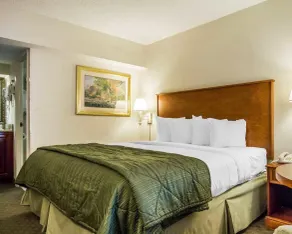 Quality Inn Savannah Historic District - Værelse