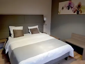 LOGIS - Château de la Motte - Hôtel & Restaurant - Værelse