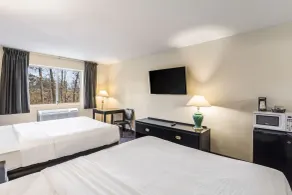 Econo Lodge Whitehall near Michigan's Adventure - Chambre