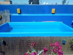Riad Zinnha udelukkende - Pool