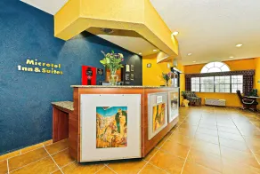 Microtel Inn & Suites by Wyndham New Braunfels I-35 - Réception