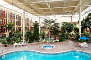 Sandman Signature Lethbridge Lodge - Piscine