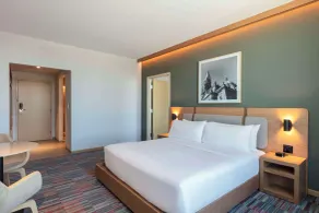 Hilton Garden Inn Guadalajara Airport - Chambre