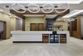 Hampton by Hilton Istanbul Atakoy - Recepción