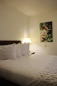 Bowen Motel - Chambre