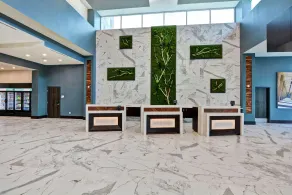 Embassy Suites by Hilton Plainfield Indianapolis Airport - Recepción