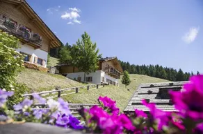 Taser Alm  - Habitación