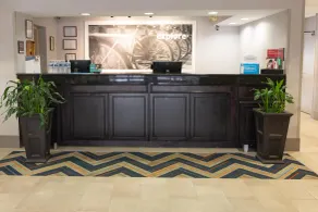 Hampton Inn Atlanta/Peachtree City - Réception