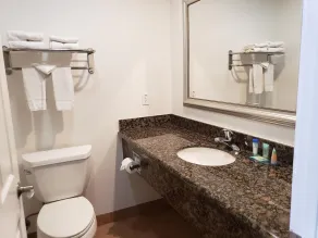 Fairview Inn & Suites - Salle de bain