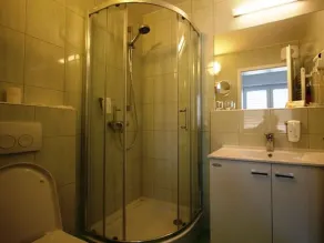 Apartments & Wellness Skok - Baño