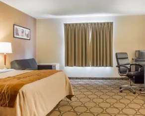 Comfort Inn - Chambre