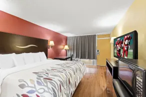 Red Roof Inn Berea - Rum