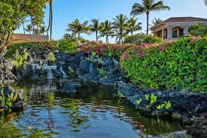 Waikoloa Colony Villas 2 Free Rental Cars KBM Resorts Large Suite 2 Units 5 Bedrooms ML-1299 - Reception